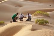 Anantara Qasr al Sarab Desert Resort